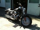 harley 2011