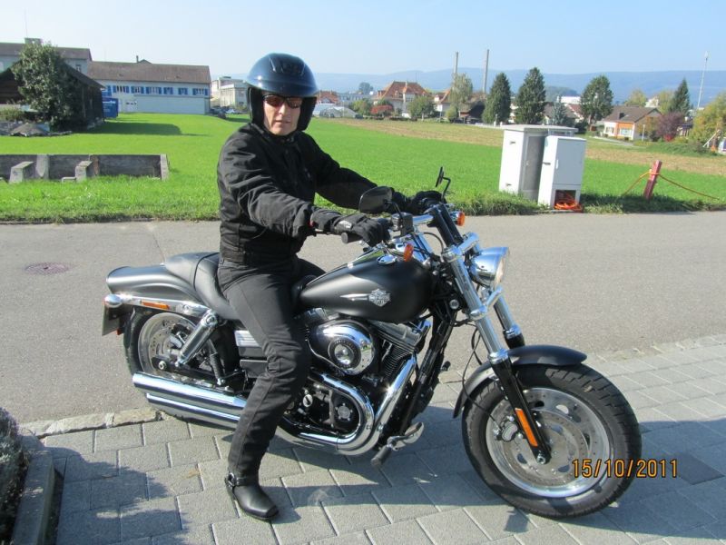 harley 2011