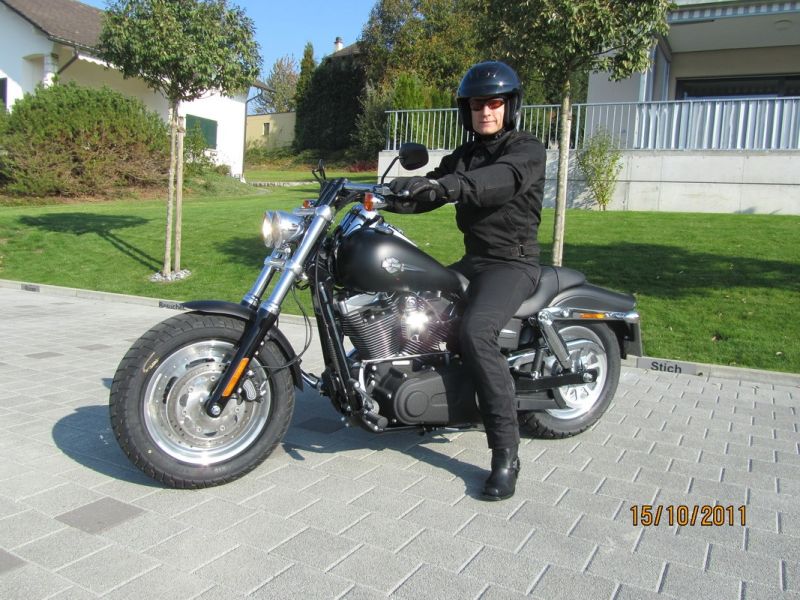 harley 2011