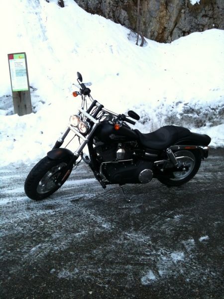 harley 2012